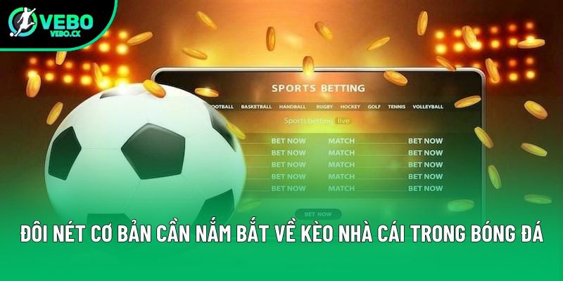 Đôi nét cơ bản cần nắm bắt về kèo nhà cái trong bóng đá