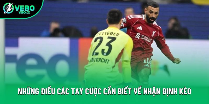 Những điều các tay cược cần biết về nhận định kèo Những điều các tay cược cần biết về nhận định kèo