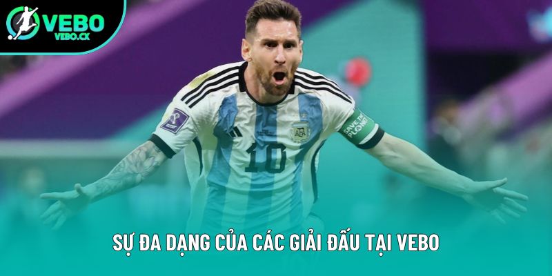 Sự đa dạng của các giải đấu tại VEBO Sự đa dạng của các giải đấu tại VEBO