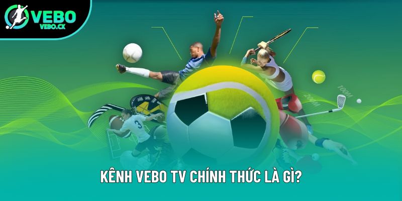 Kênh VEBO TV chính thức là gì?