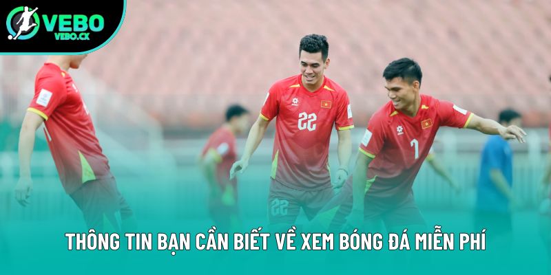 Thông tin bạn cần biết về xem bóng đá miễn phí