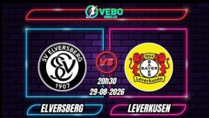 Nhận định Elversberg vs Leverkusen 20h30 ngày 29/08/2026